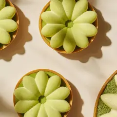 Trois tartelettes vertes en forme de fleur, une autre blanche à la vanille. La cuisson du sucre a donné des desserts délicats.