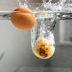 Un œuf entier flotte, tandis qu'un œuf brisé coule, expliquant pourquoi mes oeufs au lait rendent de l'eau.