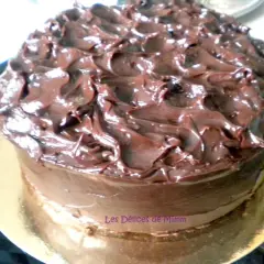 Gâteau au chocolat onctueux, un délice gourmand qui fond en bouche. Ce mud cake est recouvert d'un glaçage au chocolat brillant et texturé.