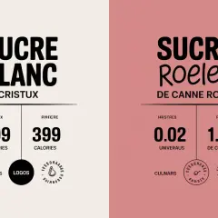 Comparaison visuelle entre le sucre blanc et le sucre de canne roux, avec leurs valeurs nutritionnelles.