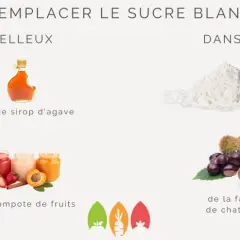 Idées pour remplacer le sucre blanc : banane écrasée, compote de fruits, sirop d'agave, farine de châtaigne ou de patate douce.