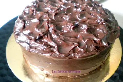 Gâteau au chocolat onctueux, un délice gourmand qui fond en bouche. Ce mud cake est recouvert d'un glaçage au chocolat brillant et texturé.