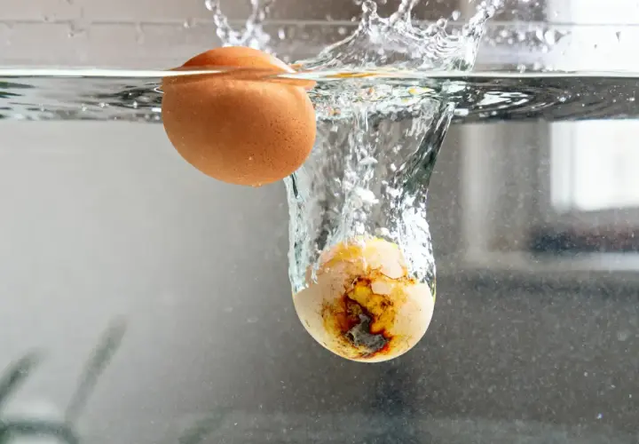 Un œuf entier flotte, tandis qu'un œuf brisé coule, expliquant pourquoi mes oeufs au lait rendent de l'eau.