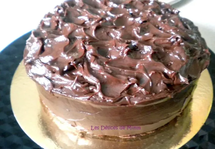 Gâteau au chocolat onctueux, un délice gourmand qui fond en bouche. Ce mud cake est recouvert d'un glaçage au chocolat brillant et texturé.
