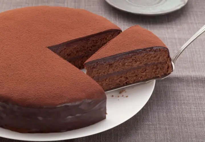 Gâteau au chocolat, saupoudré de cacao en poudre, prêt à être dégusté. Une invitation à découvrir une recette gâteau cacao en poudre.