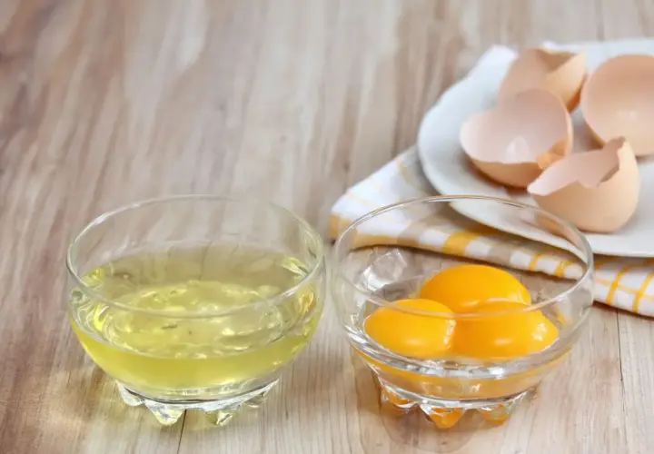 Deux bols en verre sur une table en bois : l'un contient du blanc d'œuf, l'autre des jaunes. Des coquilles d'œufs vides sont sur une assiette. Idéal pour la conservation du blanc d'œuf.