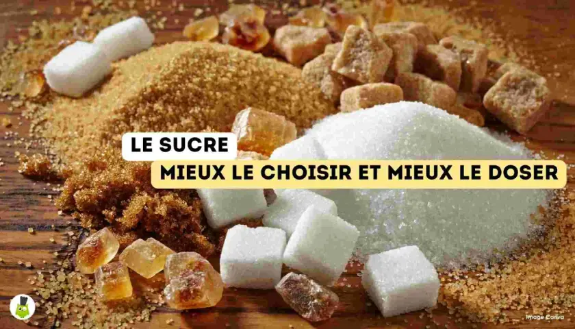 Montagne de sucres variés : blanc, roux, en morceaux. Quel est le meilleur sucre naturel ? Apprenez à choisir et doser.