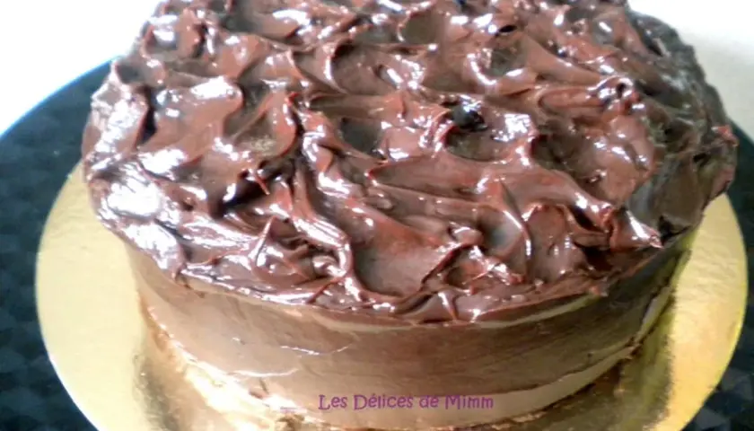 Gâteau au chocolat onctueux, un délice gourmand qui fond en bouche. Ce mud cake est recouvert d'un glaçage au chocolat brillant et texturé.