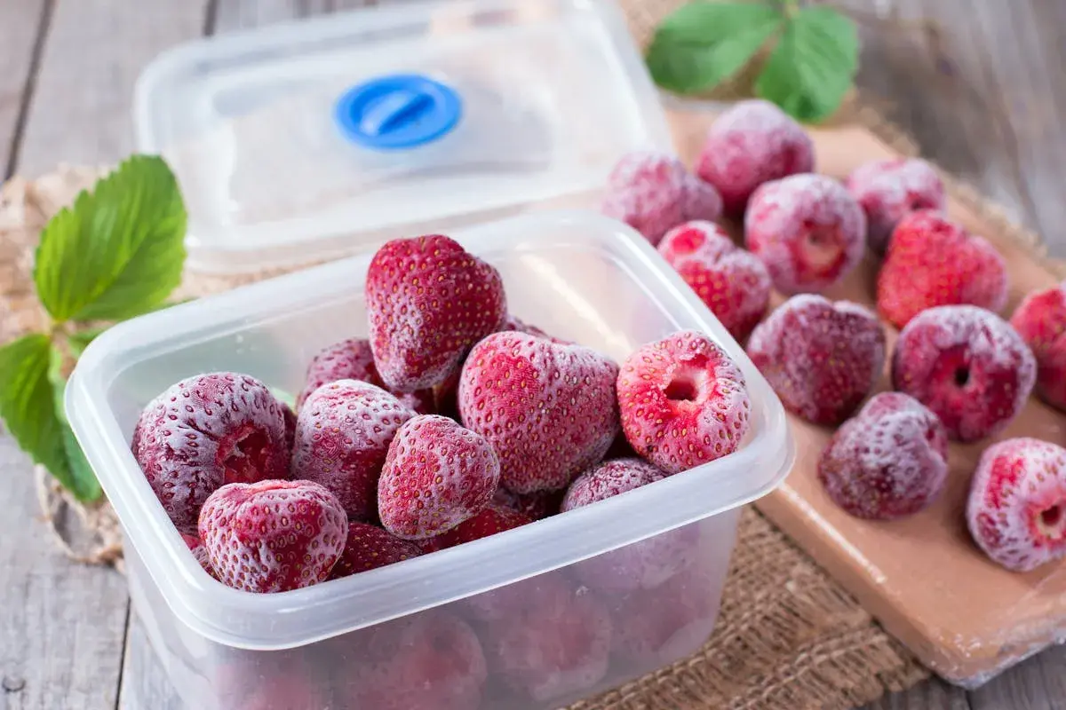 Des fraises congelées dans une boîte, prêtes pour l'hiver. Oui, on peut congeler un fraisier pour en profiter plus tard.