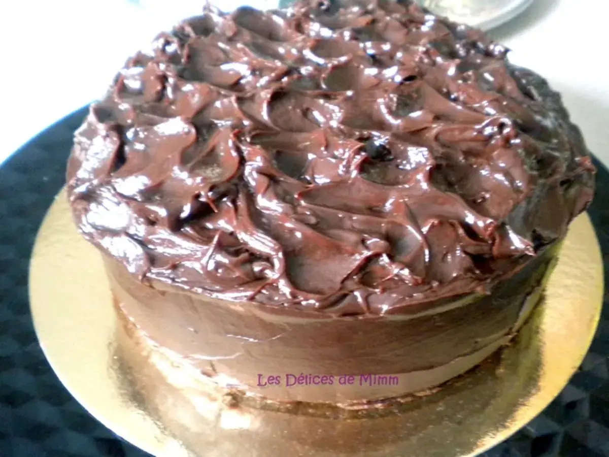 Gâteau au chocolat onctueux, un délice gourmand qui fond en bouche. Ce mud cake est recouvert d'un glaçage au chocolat brillant et texturé.