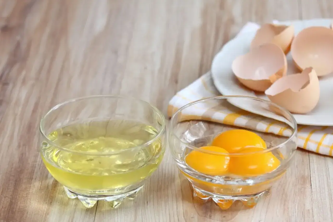 Deux bols en verre sur une table en bois : l'un contient du blanc d'œuf, l'autre des jaunes d'œufs. Des coquilles d'œufs vides sont sur une assiette en arrière-plan, suggérant la préparation pour la conservation du blanc d'œuf.